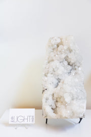 Apophyllite Cluster XL