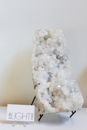 Apophyllite Cluster XL