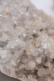 Apophyllite Cluster XXXL