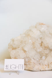 Apophyllite Cluster XXL