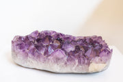 Amethyst Cluster XL