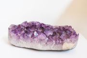 Amethyst Cluster XL